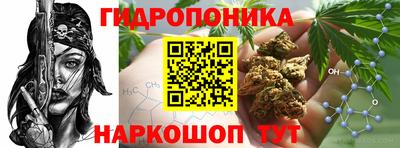 ECSTASY Тула