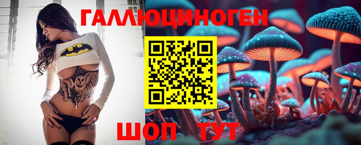 Мурино  Галлюциногенные грибы GOLDEN TEACHER  Вход с VPN 