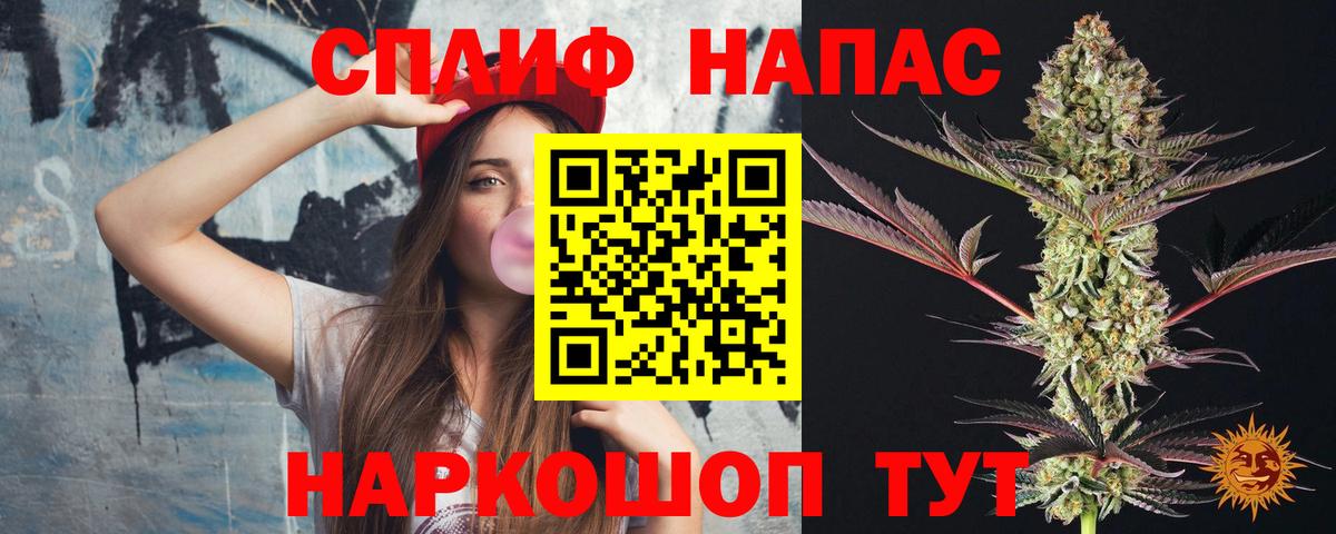 Марихуана гибрид Мурино
